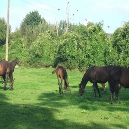 Cloncarlin House Monasterevin