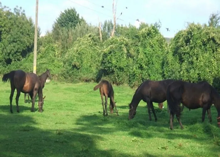 Cloncarlin House Monasterevin